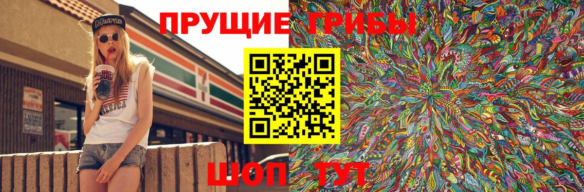 Псилоцибиновые грибы Psilocybe Крымск