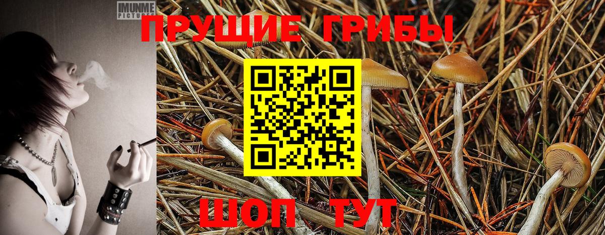 Галлюциногенные грибы прущие грибы  Вход с VPN  Крымск 